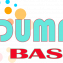 DumpsBase